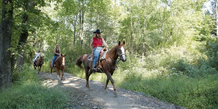 Bushkill Riding Stables