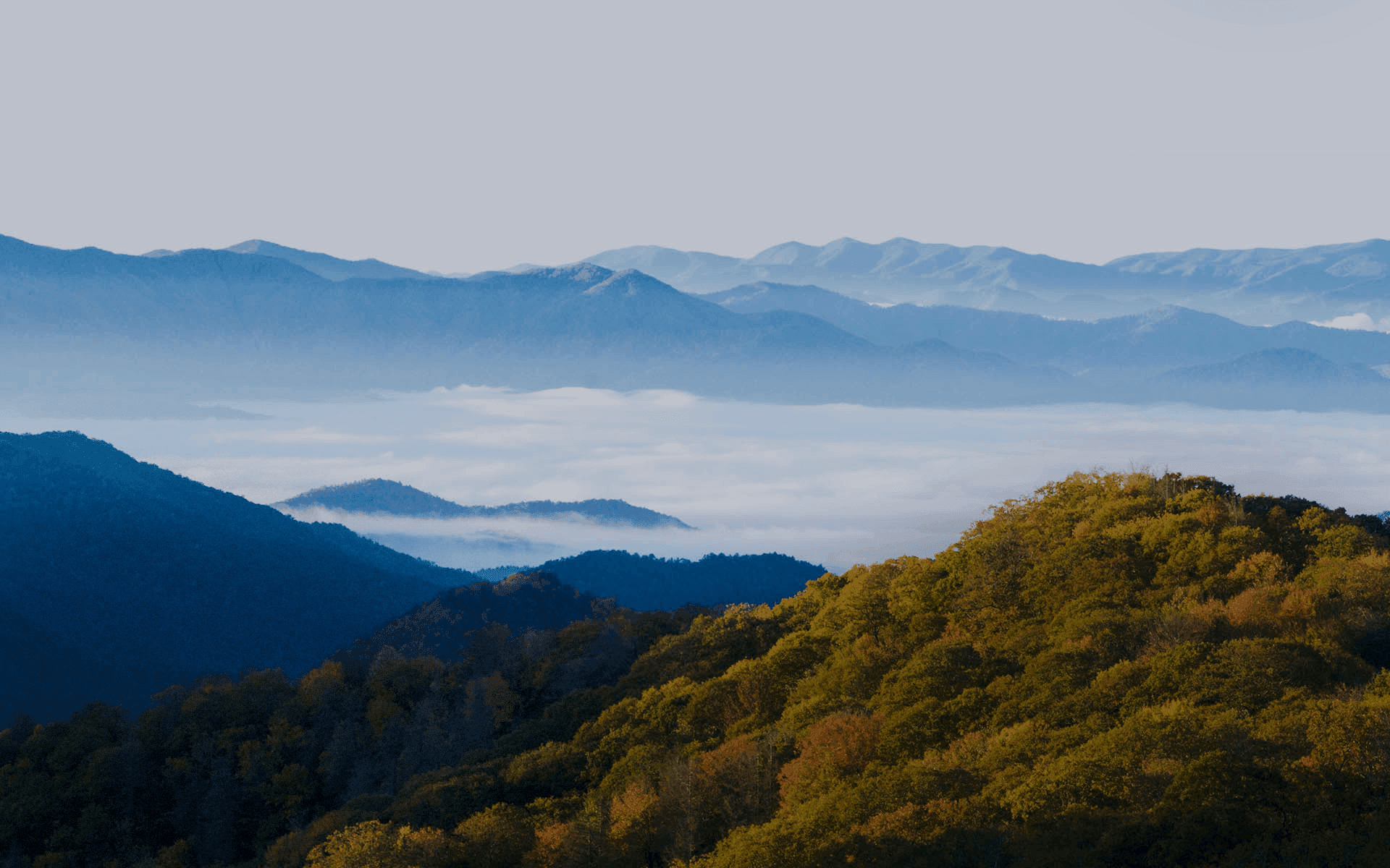 Misty Pocono Mountains at dawn