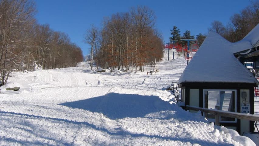The Ski Area